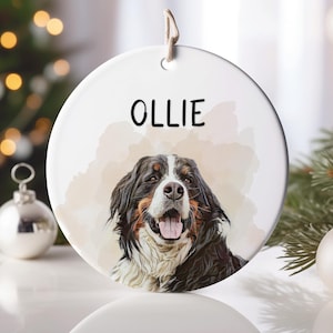 May include: A white ceramic ornament with a watercolor-style illustration of a Bernese Mountain Dog. The dog has black, brown, and white fur and is looking directly at the viewer. The ornament has the name "OLLIE" written in black text.