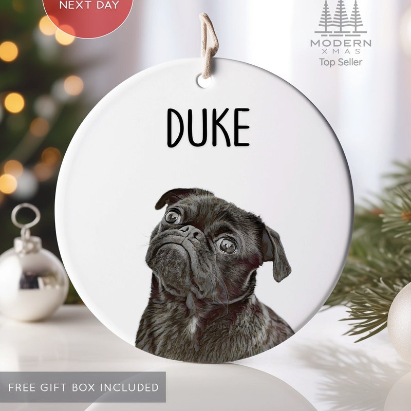 Found The Best Pug Lovely Car Ornament EVER