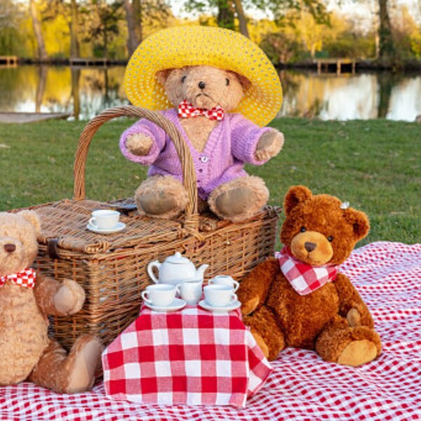 Teddy Bear Picnic Etsy