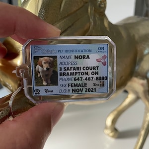 Ontario Drivers License Pet ID Tag Keychain Keyring