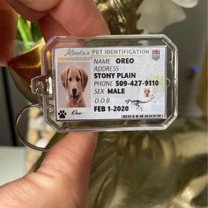Alberta Drivers License Pet ID Tag Keychain Keyring