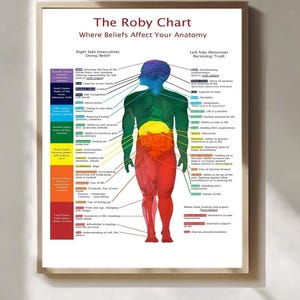 May include: A framed educational poster titled The Roby Chart: Where Beliefs Affect Your Anatomy. It features a central human figure color-coded by chakra zones, with lines pointing to specific organs and body parts, detailing associated beliefs.