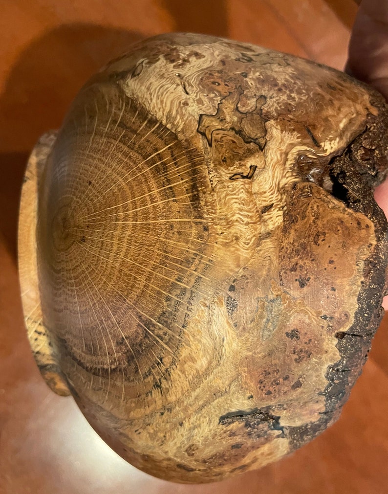 Large Red Oak Burl Wood Bowl Live Edge Hand Turned on Lathe Etsy