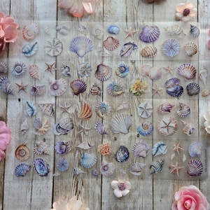 Könnte beinhalten: Ein transparenter Aufkleberbogen mit einer Vielzahl bunter Illustrationen von Muscheln und Seesternen in Blau-, Lila-, Rosa- und Brauntönen, die in einem Rastermuster auf einer durchsichtigen Trägerfolie angeordnet sind.