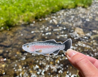 Rainbow Trout Waterproof Sticker: Fishing Decal