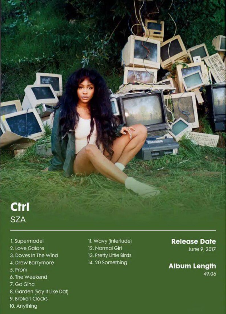 Ctrl Album Inspired Poster Contemporary Rb Hip Hop Wall Art Moody Music ...