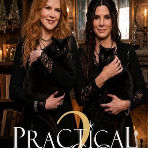 May include: A movie poster featuring Nicole Kidman and Sandra Bullock, each holding a black cat. Both wear black long-sleeved dresses with lace details. The text reads STARRING NICOLE KIDMAN & SANDRA BULLOCK and PRACTICAL MAGIC 2 in large gold lettering.
