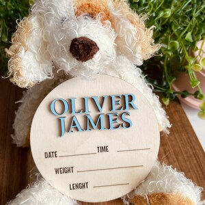 Custom 3D Wooden Baby Announcement Sign: Newborn Photo Prop