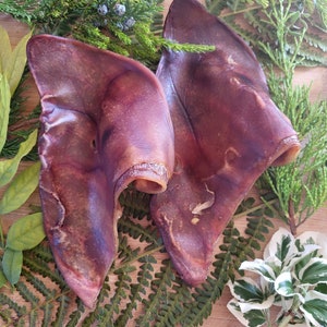 3 * Large,  Grade A Pigs Ears/ Long Lasting Chew/ Natural Dog Chew
