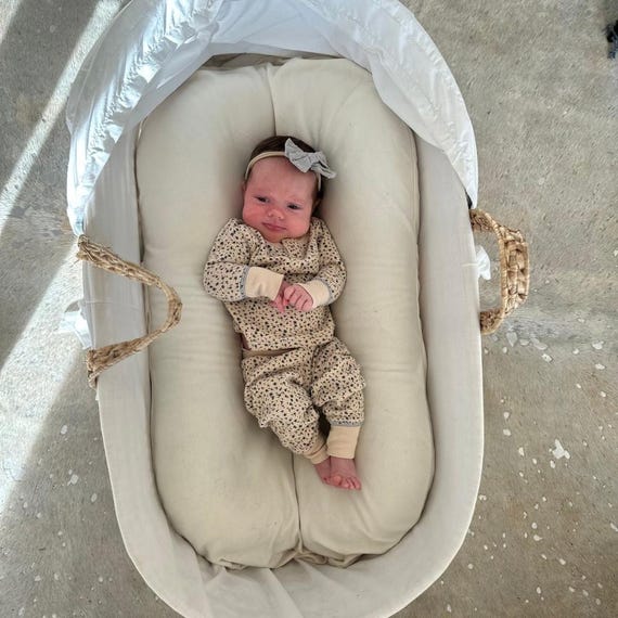 newborn lounger