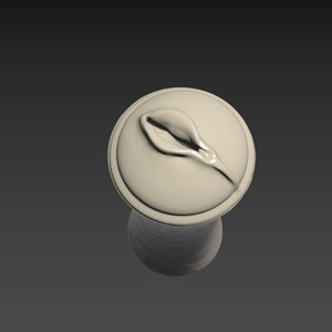 VAGINA LIP 3d Printable Model - Etsy