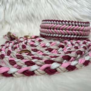 Set dog leash and collar | individual | handmade from paracord