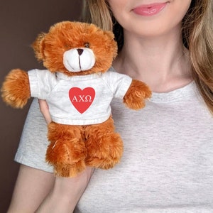Alpha Chi Omega Teddy Bear Cute Big Little Sorority Gift | AXO Stuffed Animal Gift | Sorority Build-a-Bear | Bid Day Sorority Gift