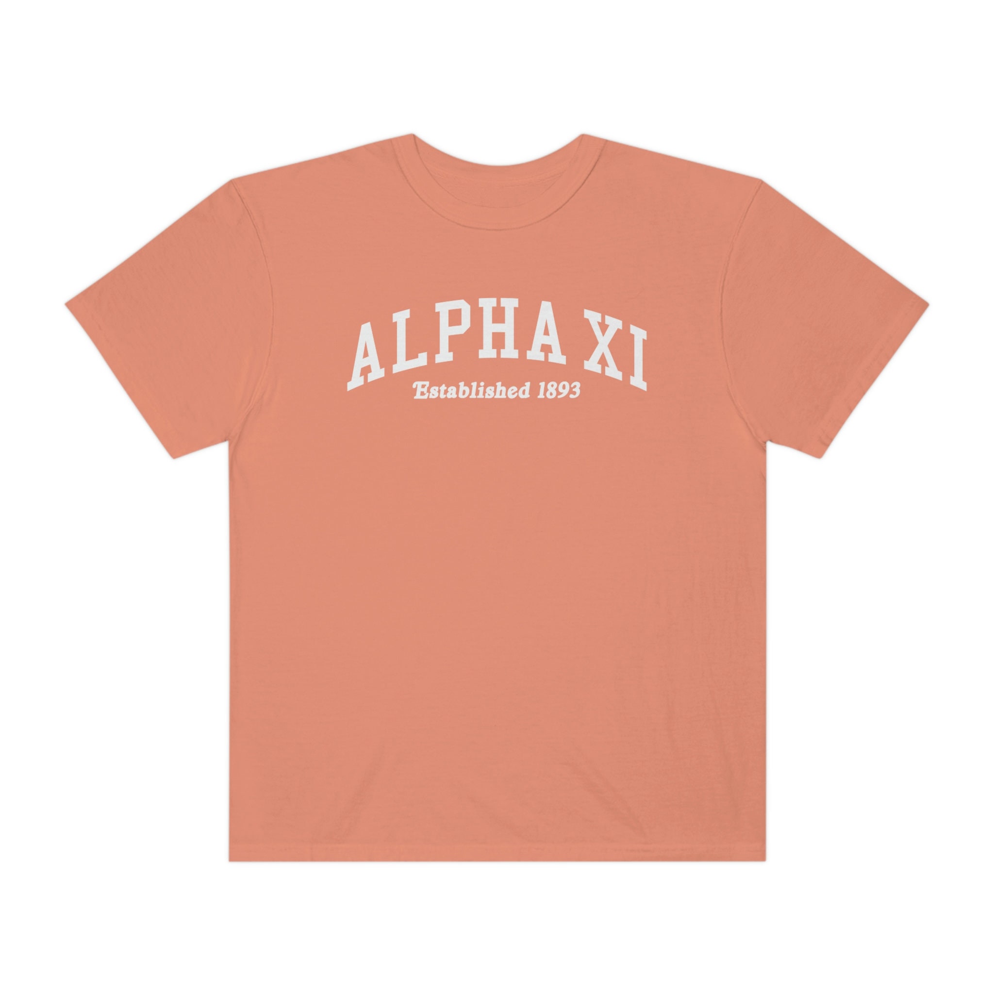 Alpha Xi Delta Comfy Tee Custom - Trendy Varsity Sorority Sorority Little Greek College Etsy T-shirt Oversized College Heavyweight Big