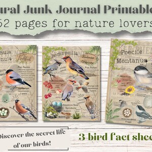 Digital heruntergeladene Ephemera, Natur Mädchen Junk Journal zum ausdrucken, Vintage Natur Ephemera, Naturliebhaber Printables, Natur Junk Journal Kit
