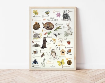 Alphabet Poster "Mein Wald-ABC" | A3 Waldtiere | Kinderposter | Kinderzimmer | Kunstdruck | Art Print | Dekoration