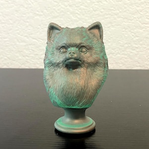 Pomeranian Bust