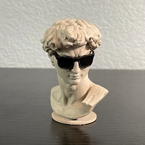 David Bust - with Sunglasses