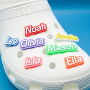 2 Charms de cocodrilo con texto o nombre personalizados / Charms de zapatos personalizados / Accesorios únicos para zuecos / Regalo personalizado para él/ella / Decoración de zapatos personalizada