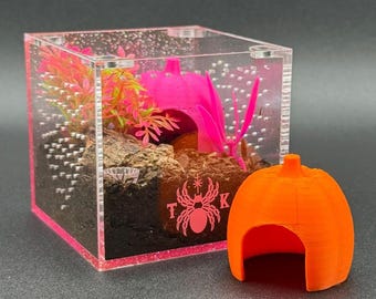 Tarantula Pumpkin Hide (Dwarf Size)