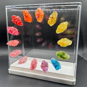 Crystal Jumping Spider Ledge decor (medium)