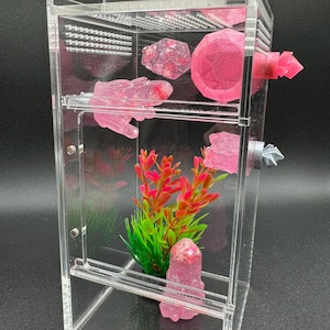 May include: A clear acrylic display case with pink decorative crystals and a small plant. The case has multiple shelves and a door. The crystals are various shapes and sizes, and the plant has red and green leaves.