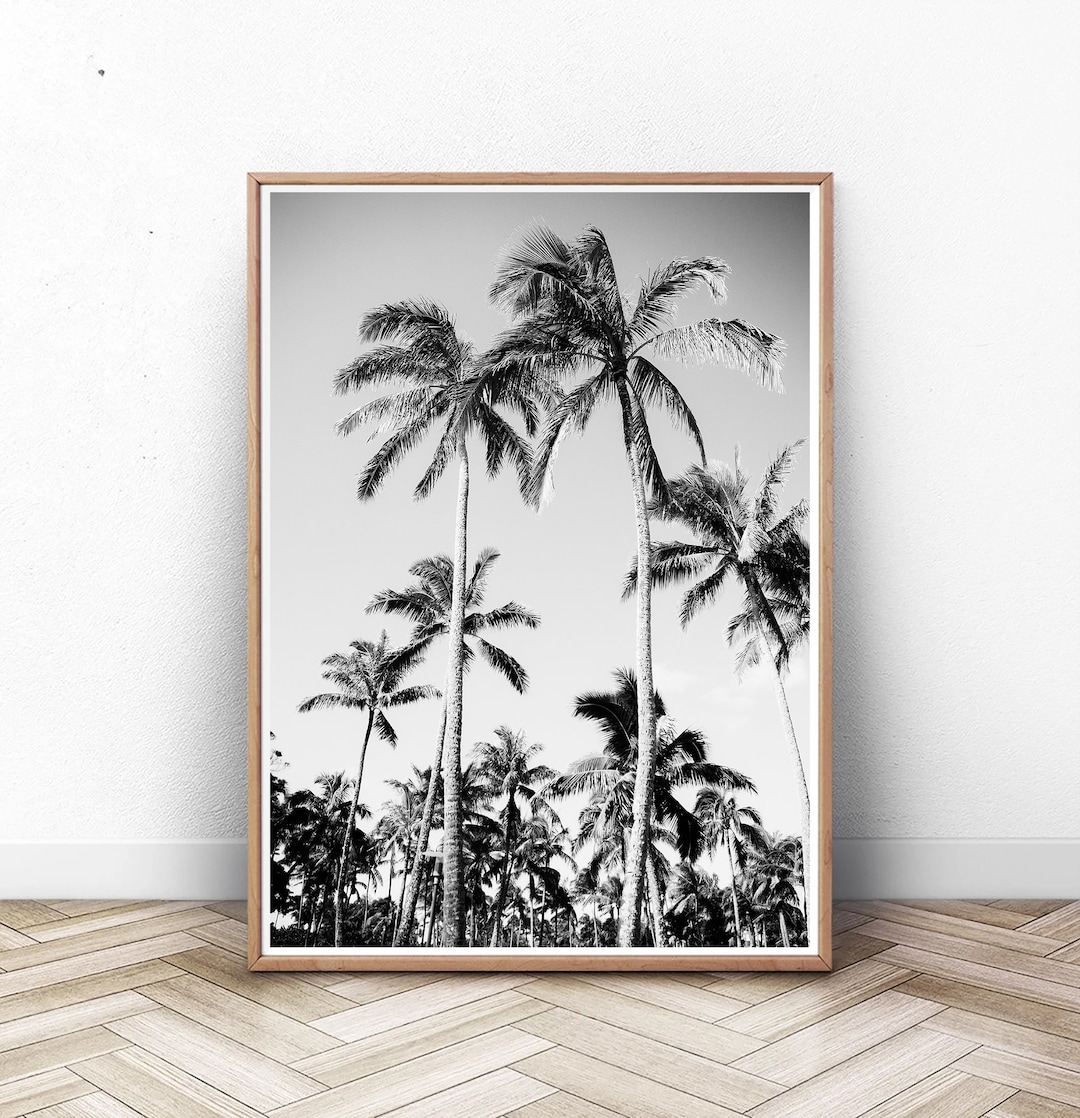 Black and White Palm Trees, Tropical Wall Art, Hawaii Palm Tree Art ...