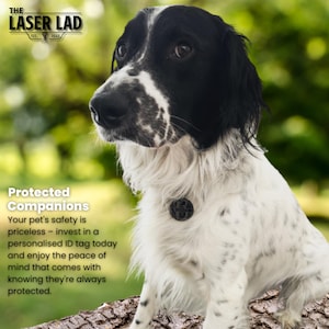 May include: A black and white dog with a personalized ID tag. The tag is round and black, with a design on it. The dog is sitting on a log, with green foliage in the background. Text on the image reads "Protected Companions".