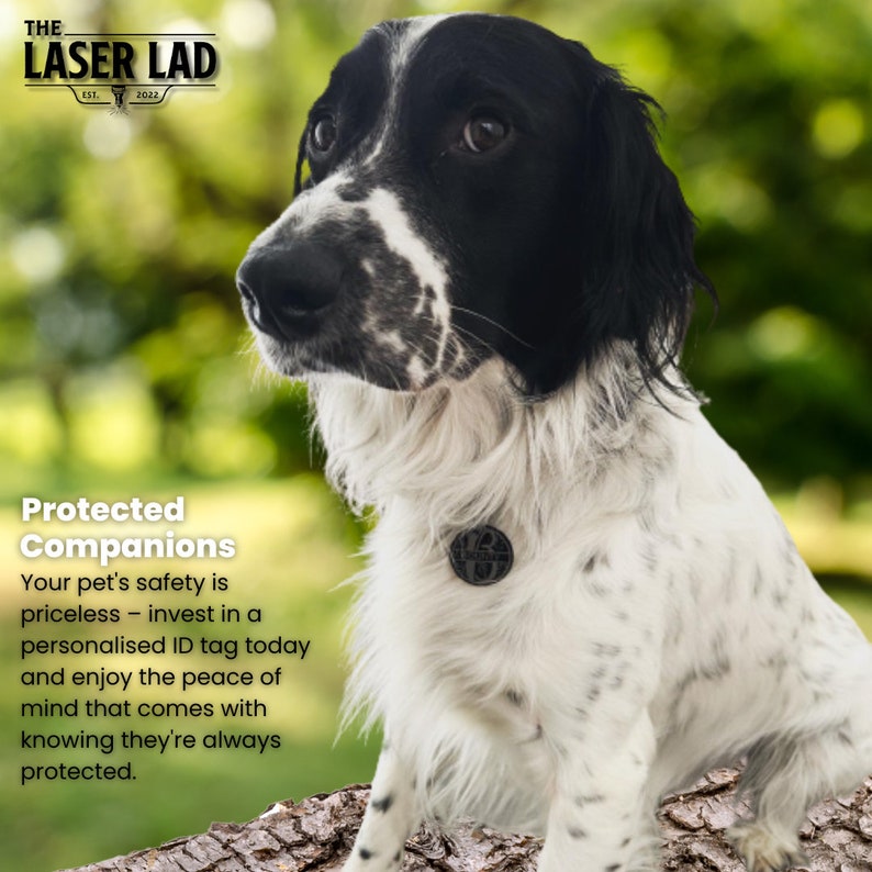 May include: A black and white dog with a personalized ID tag. The tag is round and black, with a design on it. The dog is sitting on a log, with green foliage in the background. Text on the image reads "Protected Companions".