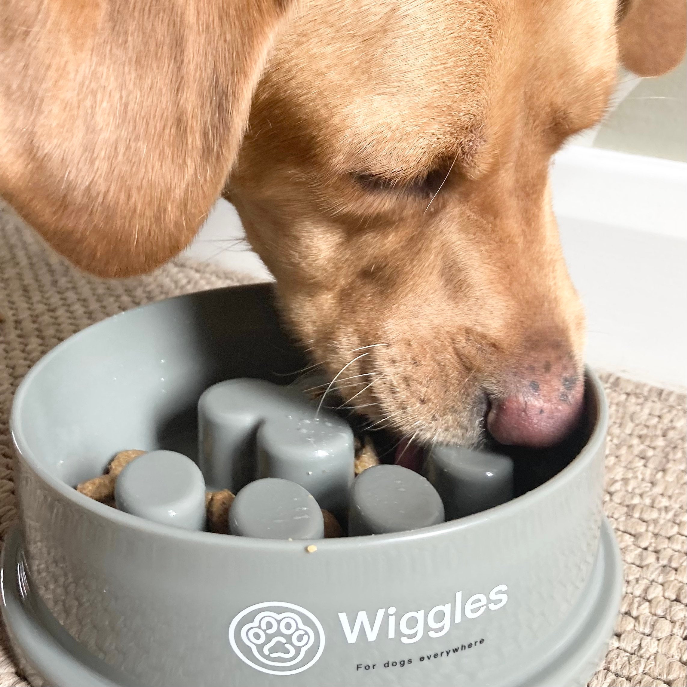 Personalised Slow Feeder Dog Bowl to Slow Down Eating Paw Print Dog