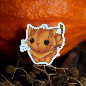 Sticker Pompoen Kat 02 - Schattige pompoen kat, matte vinyl sticker; Decoratie Herfst, Halloween, Spookseizoen, Pompoen