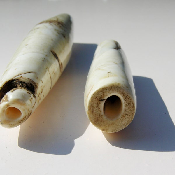 Two Antique Naga Shell Beads collected in Burma