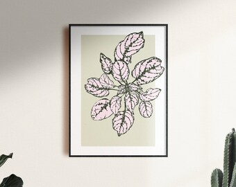 Hypoestes Print, A4, Recycled paper, floral modern print