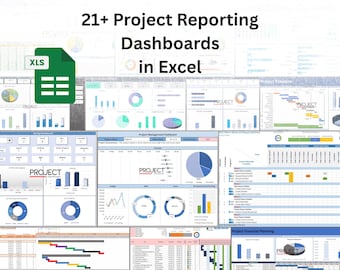 20+ Project Reporting Templates in Excel