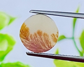 Ágata dendrítica, Cabujón de ágata dendrítica escénica: Gema redonda para la fabricación de joyas (10 x 10 mm)