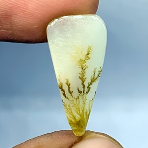 Dendritic Agate Cabochon: Pear-Shaped Scenic Gemstone (19x9 mm)