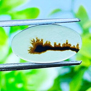 Scenic Agate!, Tree agate, Loose gemstone Cabochon Dendritic Agate Oval 15x8 mm for making jewelry. Dendritic Cabochon, Agate Cabochon.
