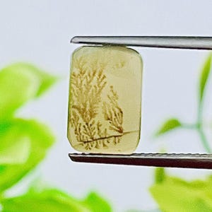 Small Scenic Dendrite Agate Cabochon Rectangle, Shazar Agate Loose Gemstone for Dainty Boho Jewelry, Hand-Polished Crystal, Agate cabochon.