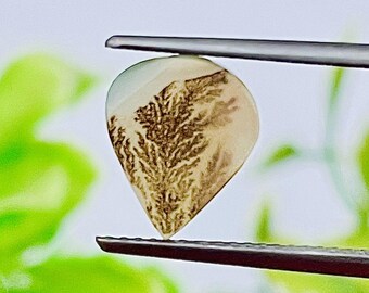 Ágata dendrítica, Cabujón de ágata dendrítica escénica en forma de pera: Gema natural para joyería