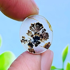 Scenic Agate!, Tree agate, Loose gemstone Cabochon Dendritic Agate Oval 14x12 mm for making jewelry. Dendritic Cabochon, Agate Cabochon.