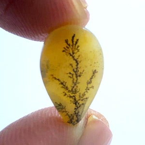 Tree agate!!, Agate cabochon, Dendritic, Loose Gemstone Cabochon Dendritic Agate Pear 14x9 mm for making jewelry pendent size
