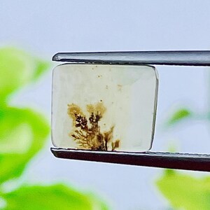 Small Scenic Dendrite Agate Cabochon Rectangle, Shazar Agate Loose Gemstone for Dainty Boho Jewelry, Hand-Polished Crystal, Agate cabochon.