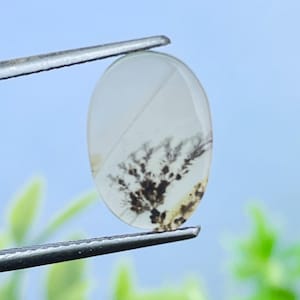 Scenic Dendritic Agate Cabochon: Oval Gemstone for Jewelry (13x09 mm)