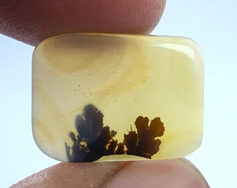 Scenic agate!!, Tree agate, Dendritic quartz, Dendritic agate, Loose Gemstone Dendritic Agate Rectangle size 17x13 mm for making jewelry