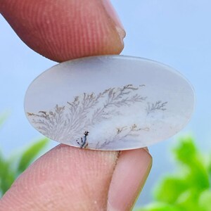 Scenic Agate!, Tree agate, Loose gemstone Cabochon Dendritic Agate Oval 22x12 mm for making jewelry. Dendritic Cabochon, Agate Cabochon.