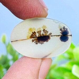 Scenic Agate!, Tree agate, Loose gemstone Cabochon Dendritic Agate Oval 24x16 mm for making jewelry. Dendritic Cabochon, Agate Cabochon.