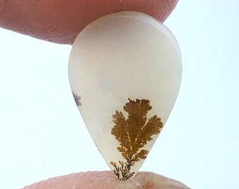 Scenic agate!! Ring Size!! Tree agate Dendritic quartz Dendritic agate Loose Gemstone Cabochon Dendritic Agate Pear size 16x10 mm.