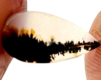 Dendritic Agate !!, Agate Cabochon, Dendritic,Loose Dendrite Cabochon Dendritic Agate Pear 15x07 MM for making jewelry.