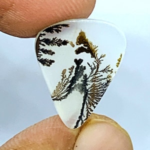 Tree Agate!!, Agate Cabochon, Dendritic, Loose Gemstone Cabochon Dendritic Agate Pear 17x13 mm for making jewelry pendent size.