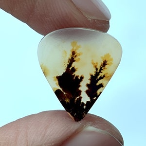 Tree agate!!, Dendritic agate , Agate Cabochon, Loose Gemstone Cabochon Dendritic Agate Pear 16x14 mm for making jewelery pendent size